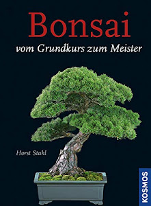 Bonsai - Vom Grundkurs zum Meister