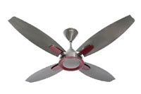 Usha Bloom Lily Fan