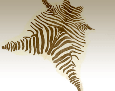 Zebra Area Rug