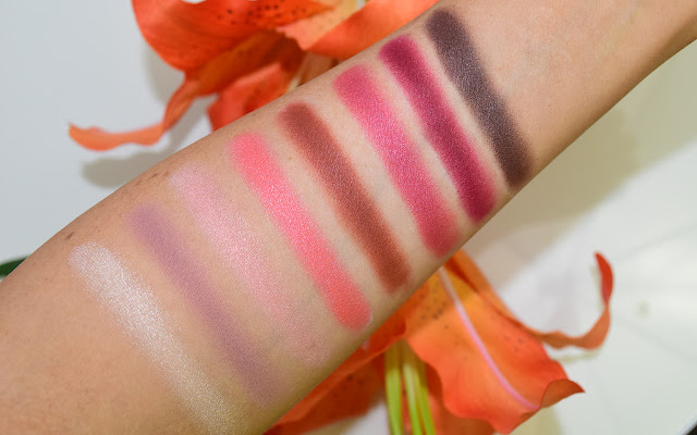 New-trals vs Neutrals eyeshadow palette swatches