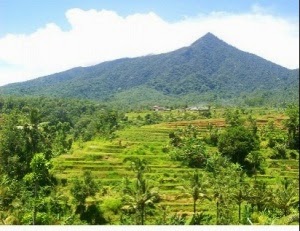 tempat wisata bali di Jatiluwih