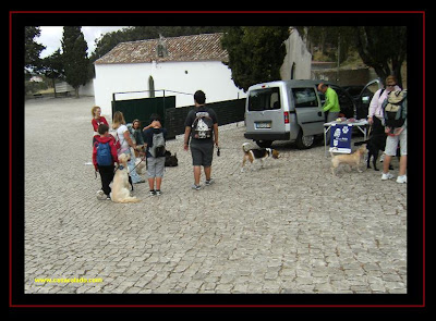 Dog Trekking - Cãominhada pelo Guincho