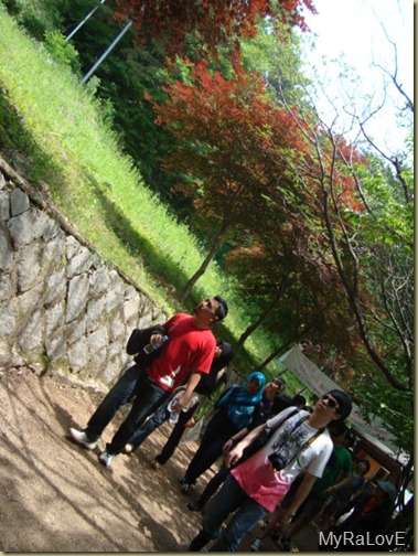DSC07743