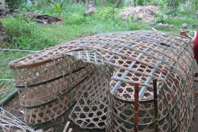 glimpse of crab traps