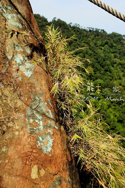 三峽五寮尖｜傳說中的猴精｜五層樓高垂直峭壁山脊線｜桂林山水