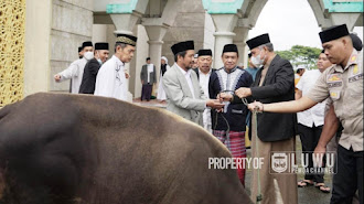 Bupati Luwu Bersama Forkopimda Sholat Idul Adha 1443 H di Masjid Agung Belopa