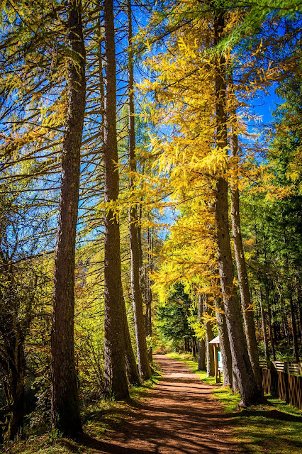 España, Navarra, Pirineo