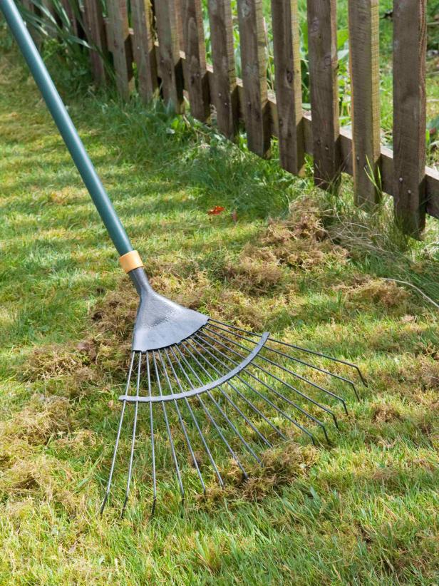 What is Verticutting?: Why does my lawn need Verticutting/