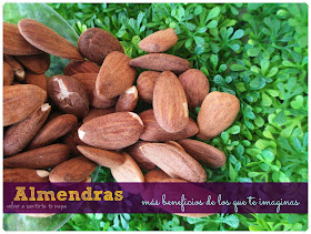 Propiedades y Beneficios de las Almendras