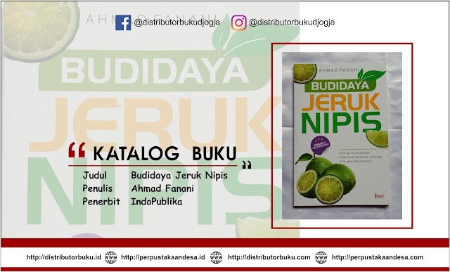 Budidaya Jeruk Nipis