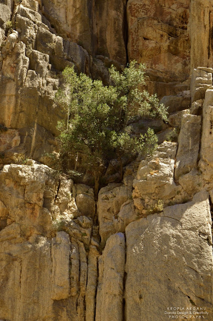 El Caminito del Rey, czyli Szlak Króla. Z prawej skała z lewej przepaść!