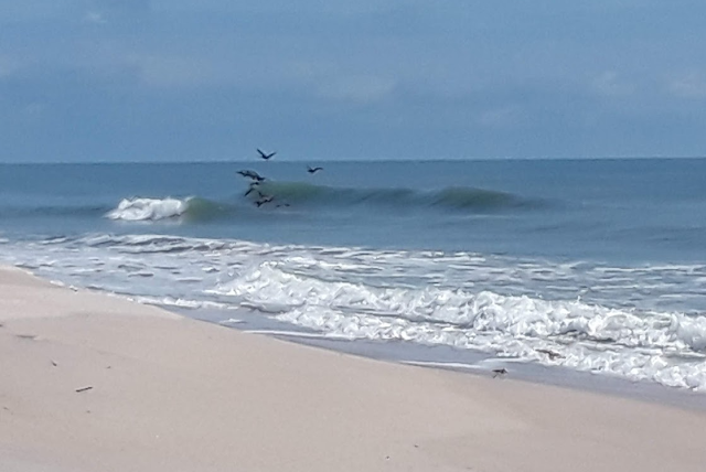 Florida East Coast Surf Fishing Canaveral National Seashore Playalinda Beach Waves Feed Bait Pool