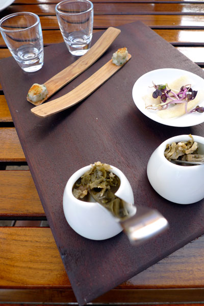 oaxen_2010_2.jpg