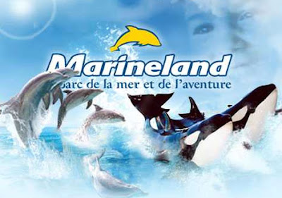 -50% sur les places pour le parc Marineland