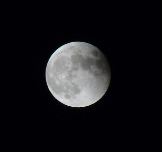 eclipse luna 15 junio