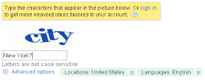 City captcha