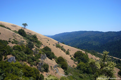 Monte Bello Open Space Preserve