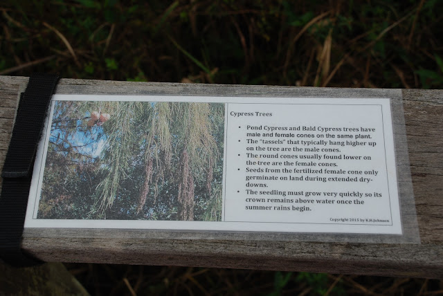 Audubon Corkscrew Swamp Sanctuary