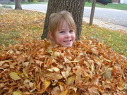 leaves (5)