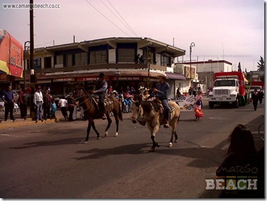 IMG01164-20121120-1148