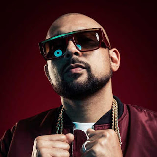 Image du chanteur Sean Paul