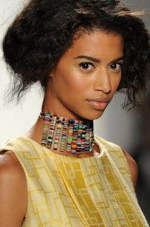 Black Hairstyles 2012