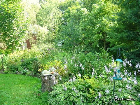 Green Investigative Blog