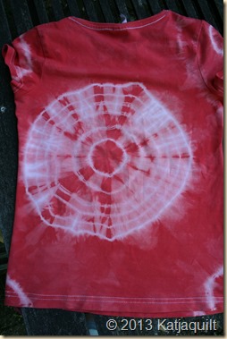 Batik 2013 hinten