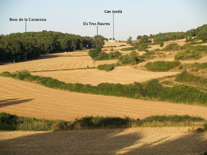 La petita vall de Can Jordà, amb la Roureda de Collsuspina i els Tres Roures, captada des del Torrent de l'Espina