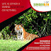 Sundarban Nature Tour – A Brief Overview