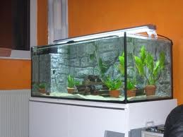 Klinik AQuarium  Membuat  Filter Kolam Sendiri 