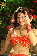 MEENAKSHI DIXIT HOT PICS