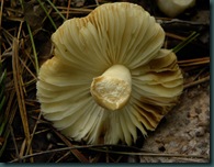 DSCN2957