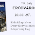 T. R. Salty: Erődvárosok {Értékelés + Nyereményjáték}