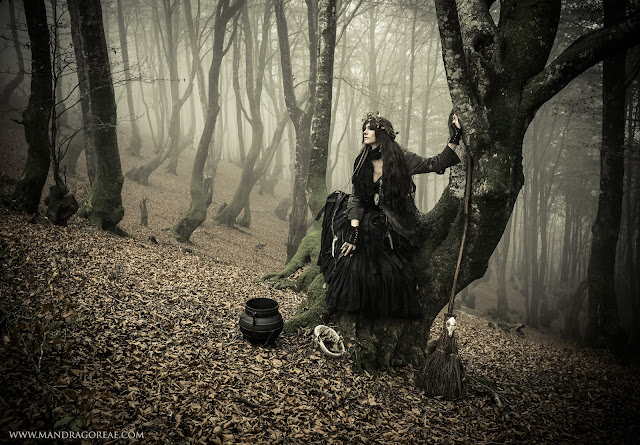 Aker Dantzaria Forest Witch with Fox Broomstick Besom Broom and Cauldron