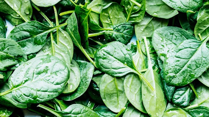 How Spinach Benefits Your Health: A Comprehensive Analysis