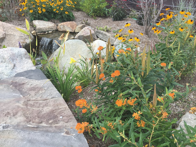 pollinator friendly landscaping around pondless waterfall