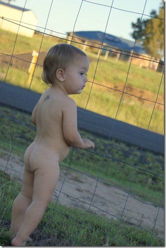 NakedBabyBuns