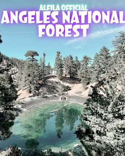 Angeles National Forest - Reviews, Ticket Prices, Opening Hours, Locations And Activities [Latest]