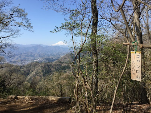 コヤシロ山の頂上