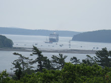 The Maasdam from Cadillac Mountain