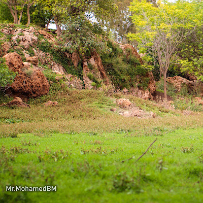 Ain Zaina Area in Djelfa