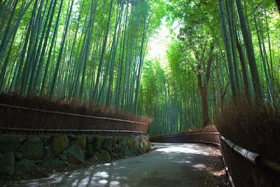 Jalan Setapak Bambu, Jepang