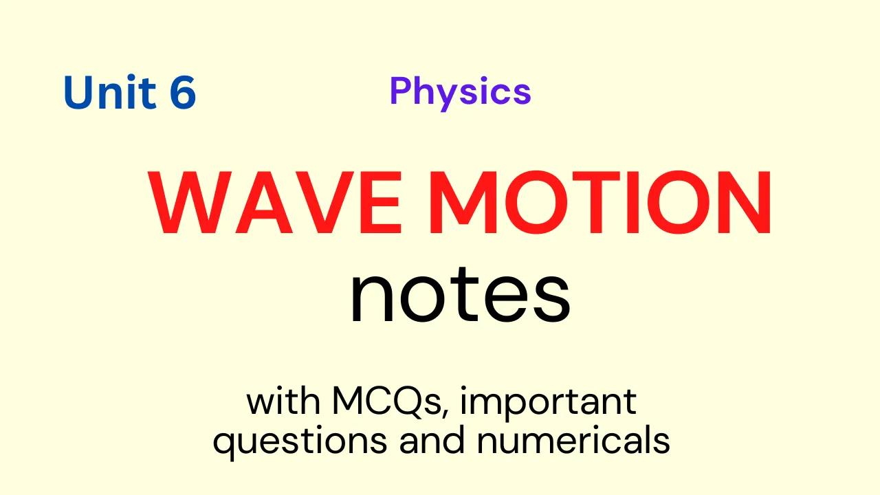 Wave Motion Notes | Class 12 Physics Notes Unit 6