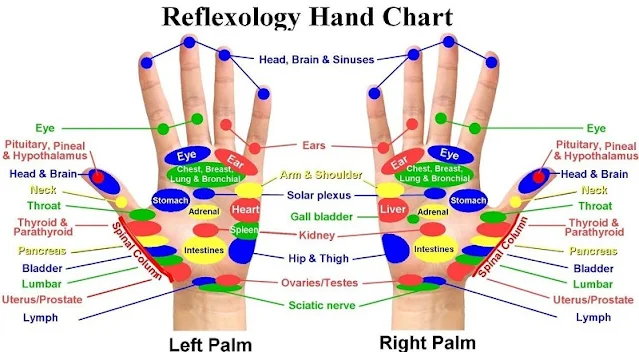 மன அழுத்தம் போக்கும் ரெப்ளெக்ஸாலஜி ! #Refleksoloji