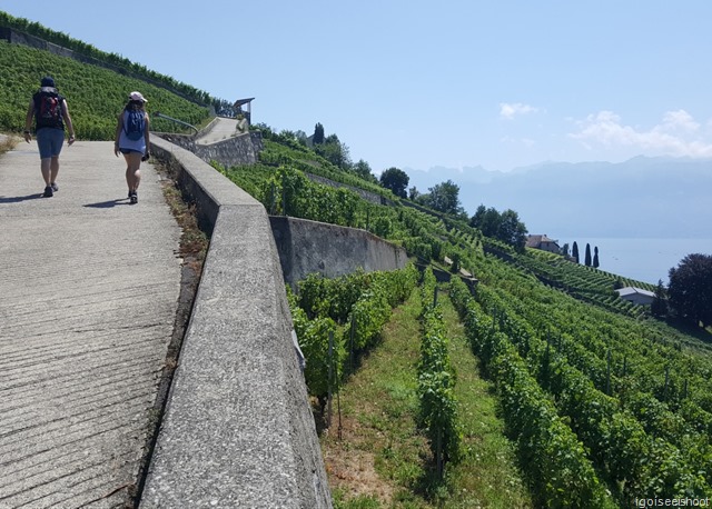 Hiking in Lavaux 