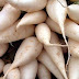 Top 10 Benefits of White Radish on Health