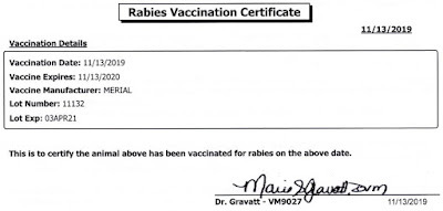 rabies vaccination certificate for community cat