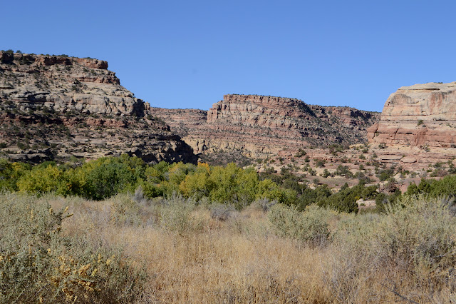 branching canyon