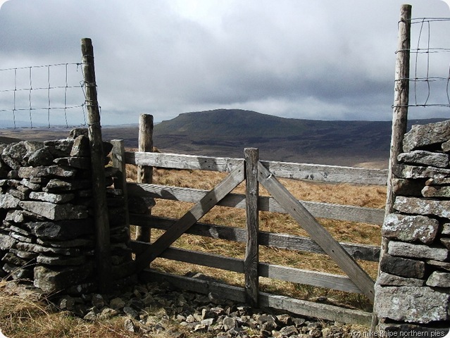 strategic gate